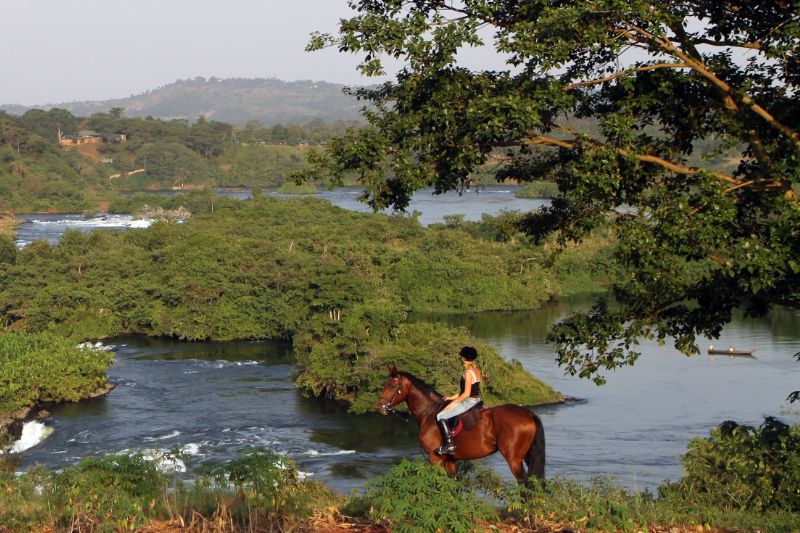 Horse Riding on the River Nile in Uganda