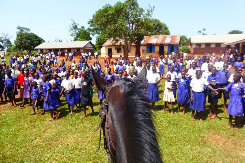 A school of children seen through a horses ears