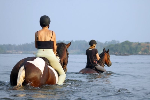 Swimming on horseback in the River Nile, Uganda