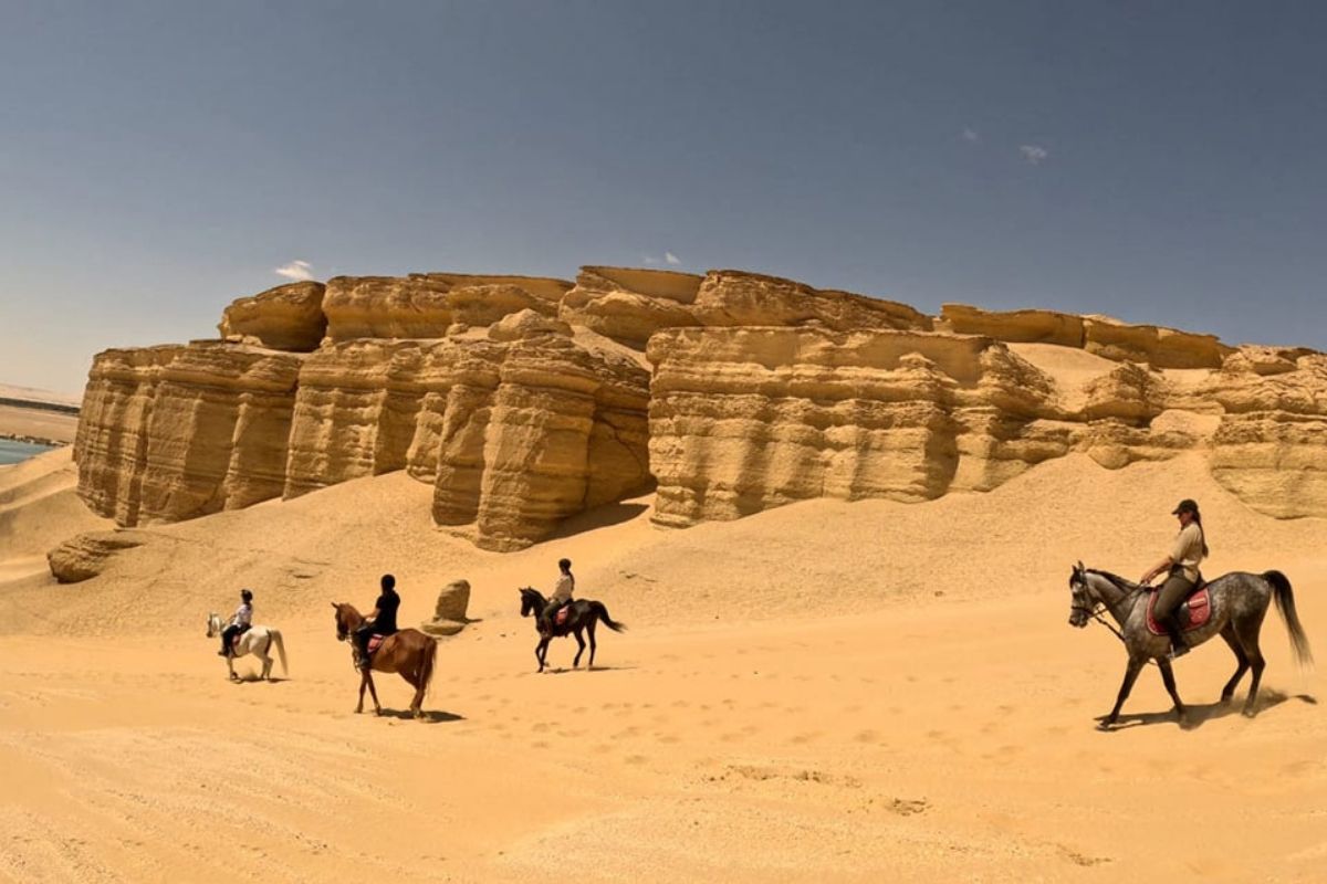 Horse riding in Fayoum, Egypt