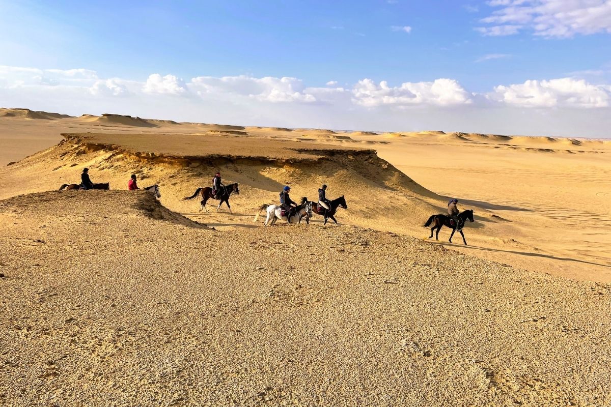 Horse riding in Fayoum, Egypt