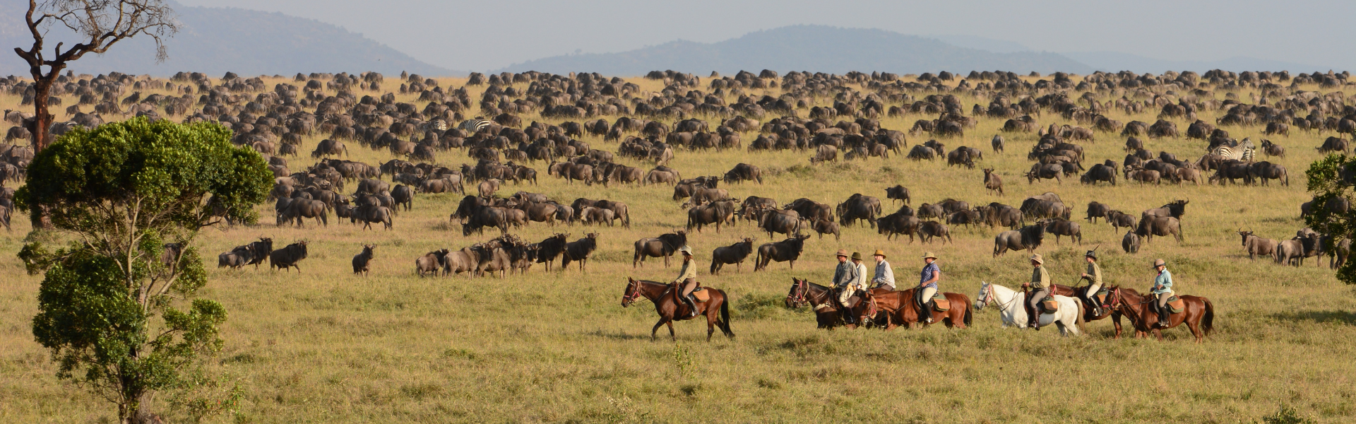 Horse riding safari with the great migration in Kenya