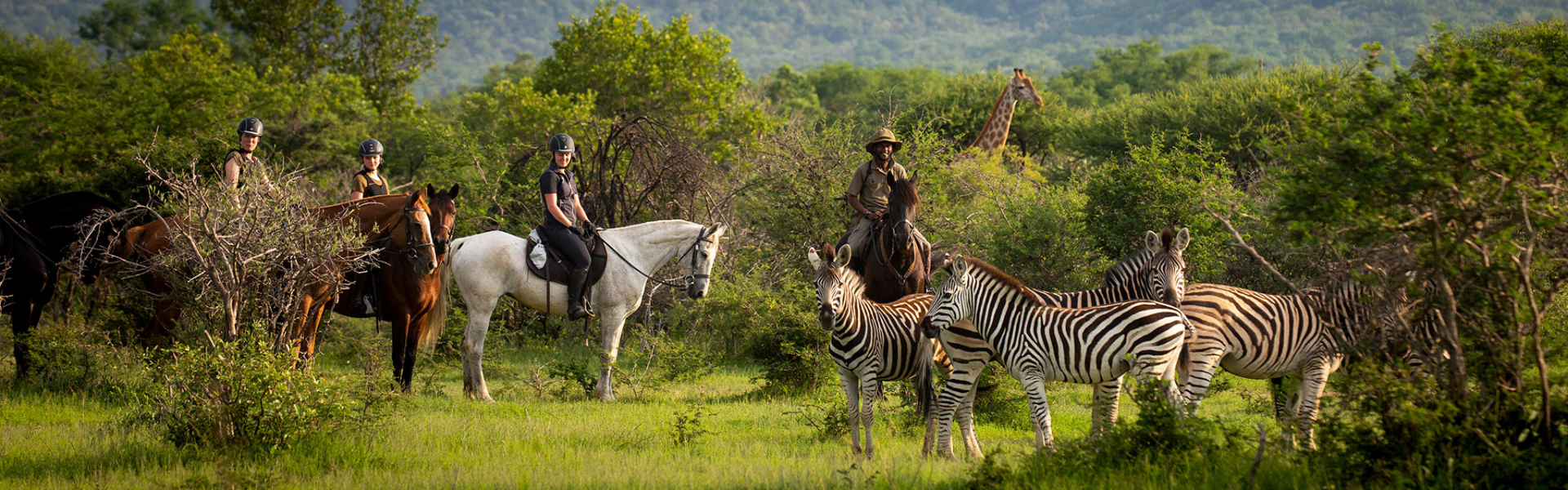 Horse Riding in South Africa at Ants Nest