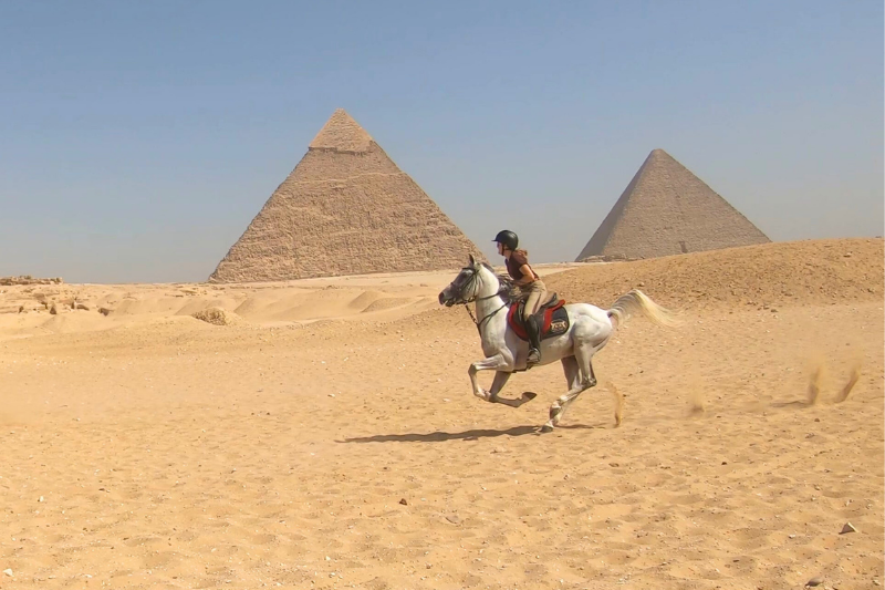 Galloping in front of the pyramids of Giza