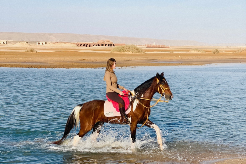 Horse riding in the Red Sea