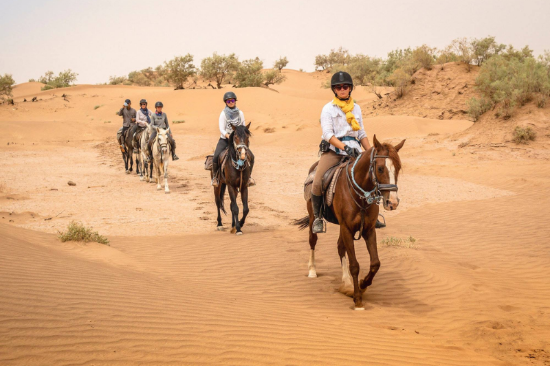 Horse Riding in the Sahara Desert