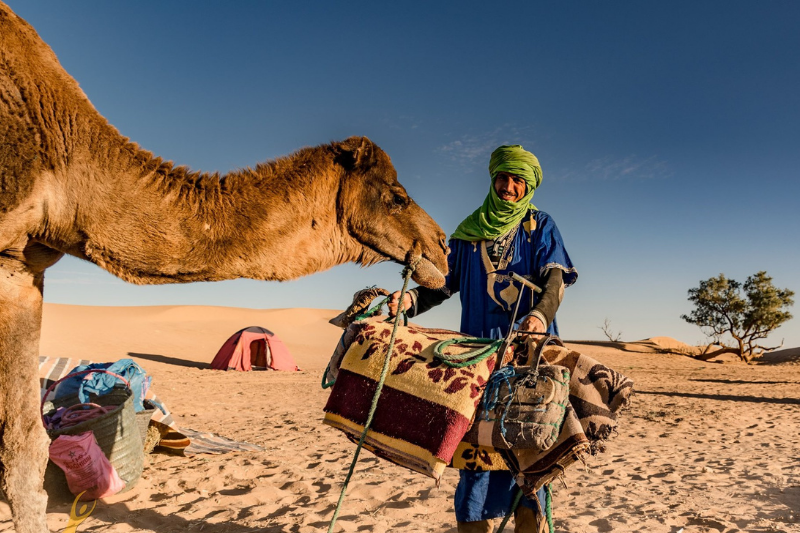 Moroccan man with Camel