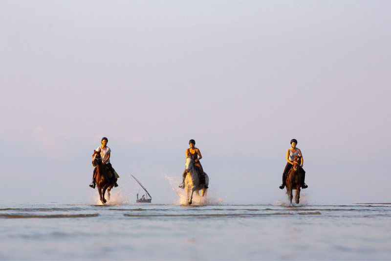 Cantering in the warm ocean in Mozambique