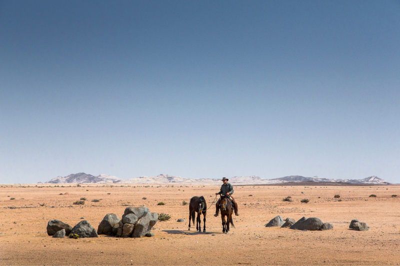 Two horses in the Namib Desert