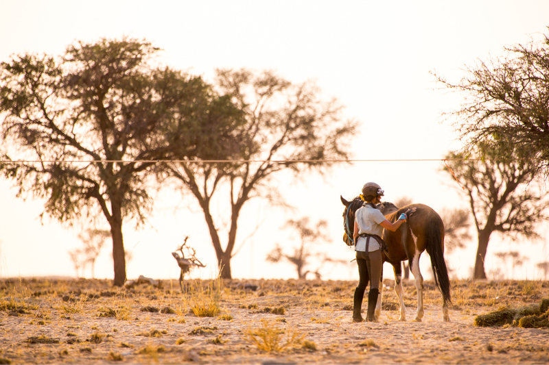 Connecting with your horse on Safari in Namibia