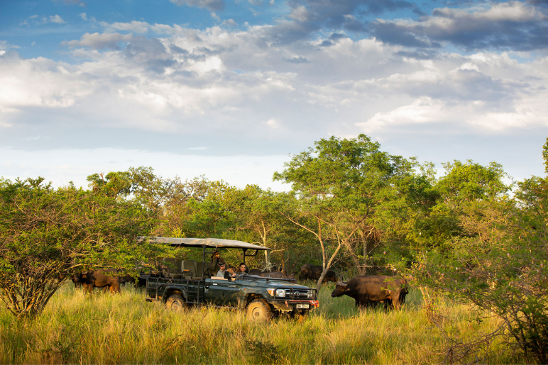 Game drives at the Ant Reserve in South Africa