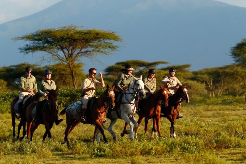 Canter across the plains in the Serengeti