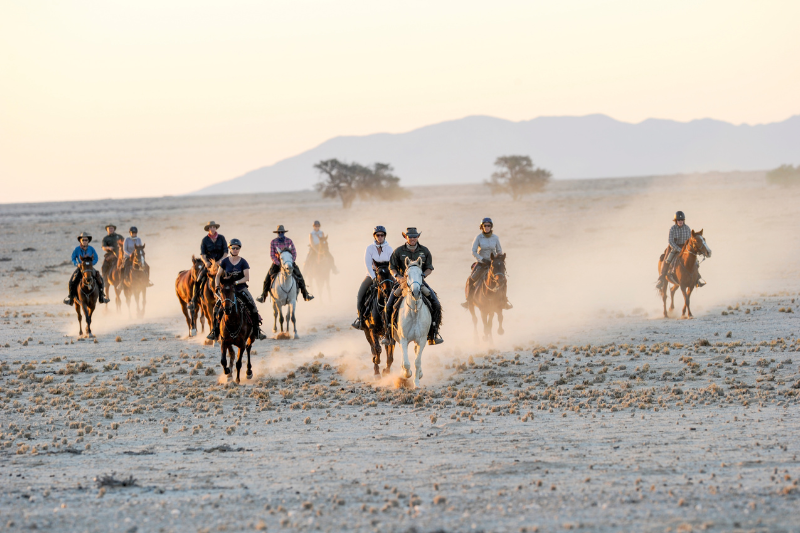Horses cantering in the Namib Desert