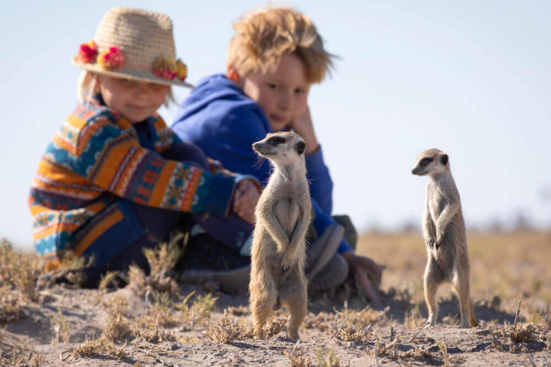Kids with meerkats