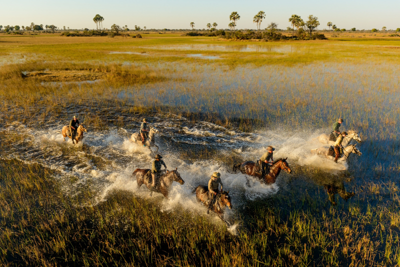 Horse riding in the Okavango Delta