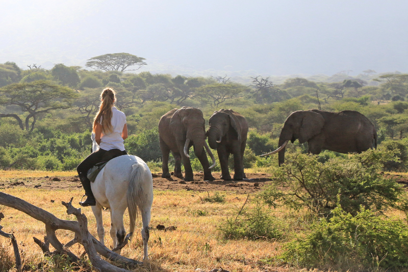 Horse riding with elephants at Ol Donyo, Kenya