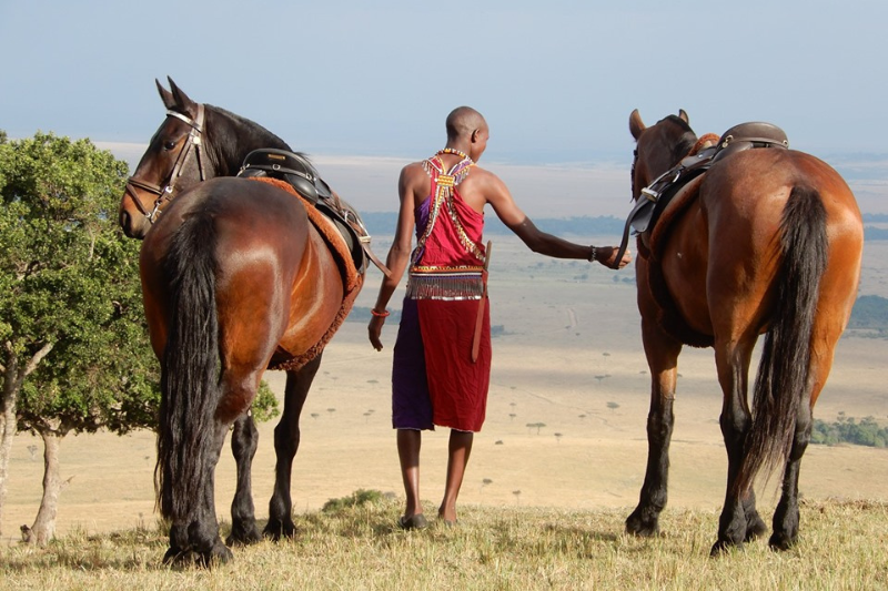 Masai Man with horses in Kenya
