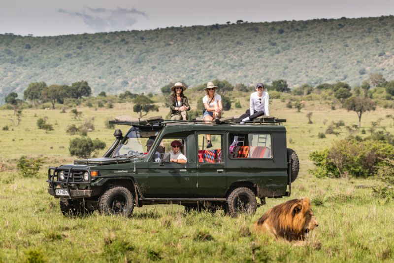 Game drives in the Masai Mara with Offbeat