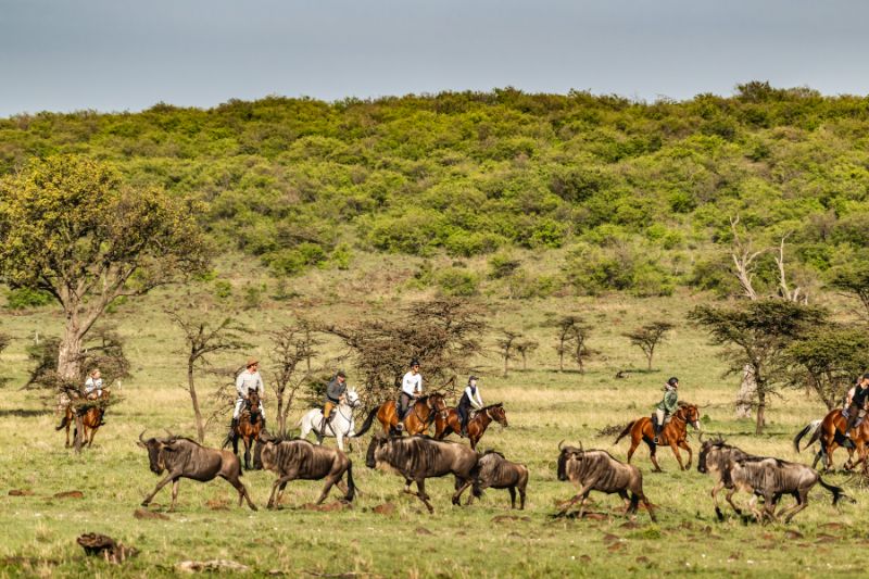 Horse riding alongside herds of wildebeest in the Masai Mara