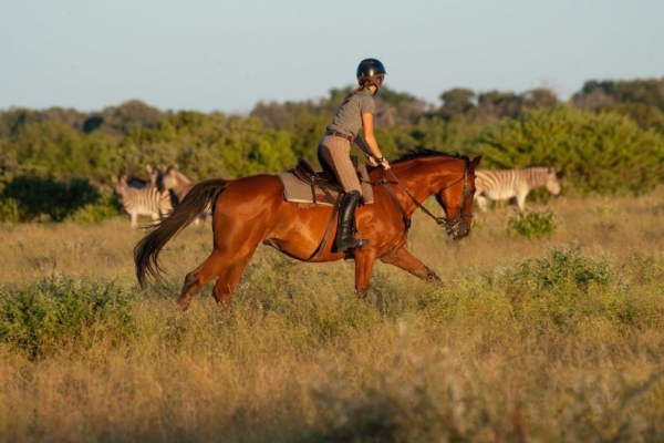 Cantering with zebra at Horizon Horseback in South Africa