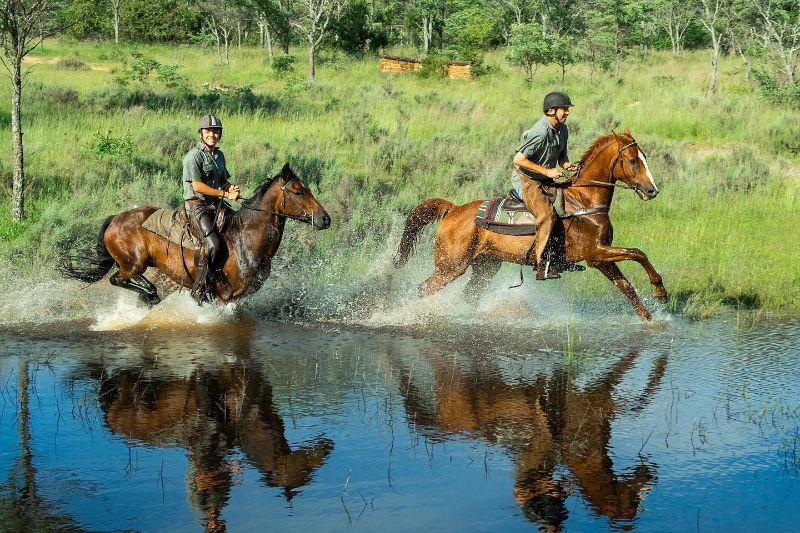 uganda horse safari