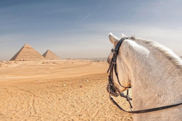 Horse Riding Holidays in Egypt (130)