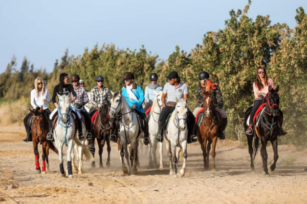 Horse Riding Holidays in Egypt (43)