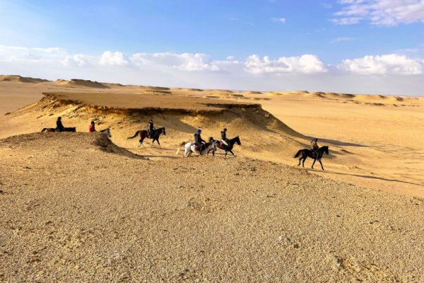 Horse Riding Holidays in Egypt (83)