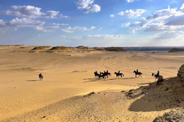 Horse Riding Holidays in Egypt (84)