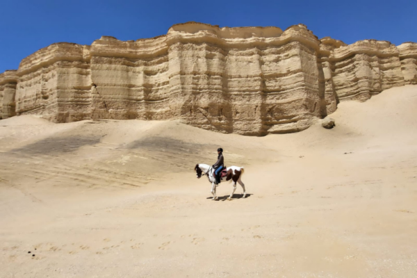 Horse Riding Holidays in Egypt (92)