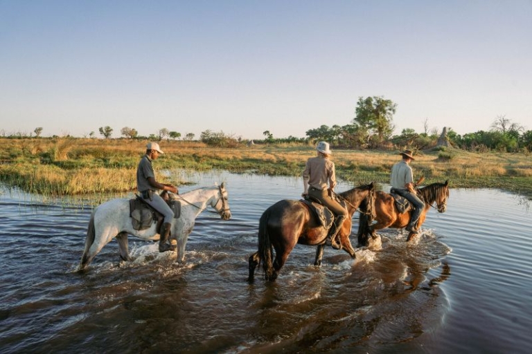 Horse riding at Cha Cha Metsi in the Okanvango Delta