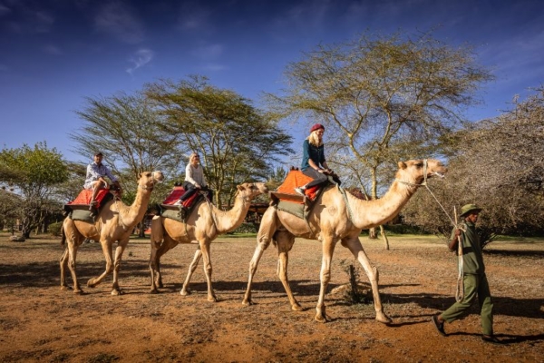 Camel Trekking at Sosian Lodge Kenya