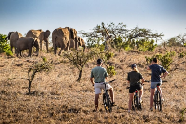 Cycling with Elephants at Sosian Lodge Kenya