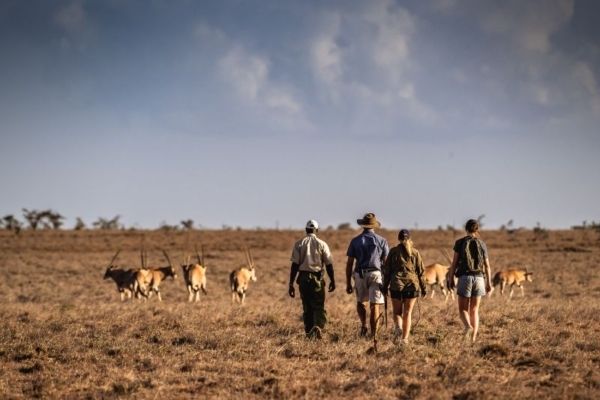 Walking Safaris at Sosian Lodge Kenya