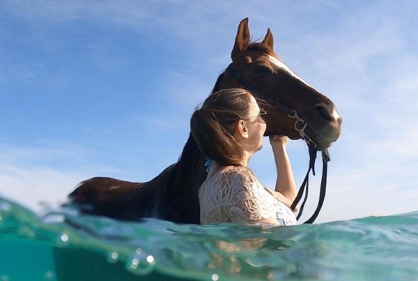 Girl with horse in turqouise water in Egypt