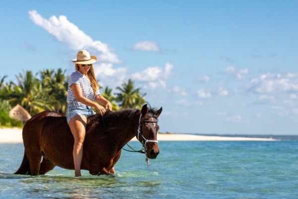 AHS Blog - Swimming With Horses on the Beach in Africa Header Image