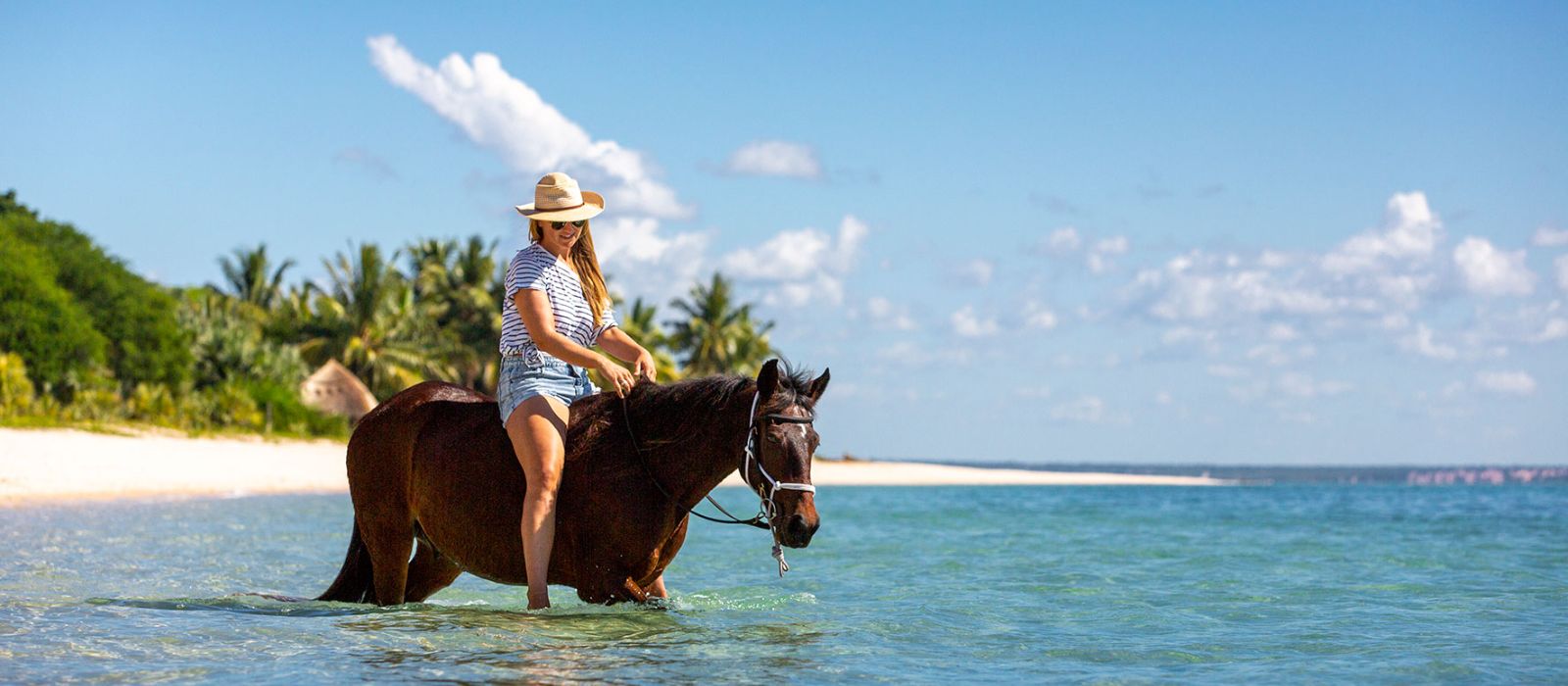 Best Beaches in Africa for Swimming With Horses