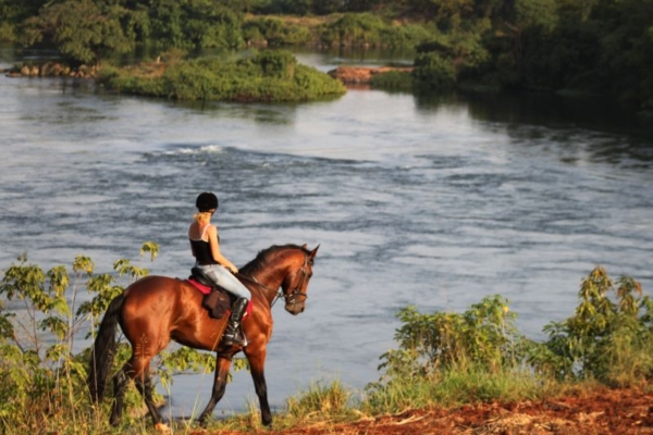 Nat riding Arrogant by the Nile - Nile Horseback Safaris (1)
