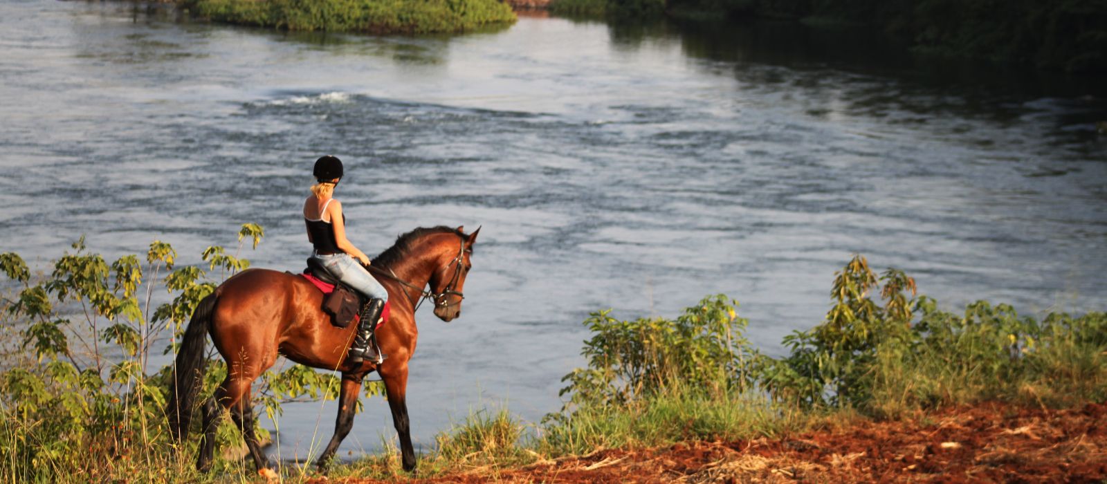 6 Best Safaris for Swimming with Horses in Africa