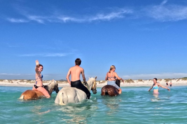 Swimming on horseback at Pearly Beach, South Africa