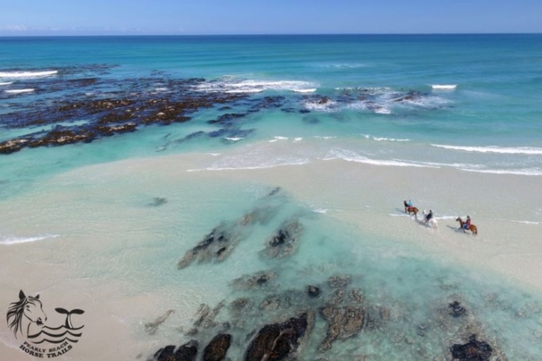 Swimming on horseback at Pearly Beach, South Africa