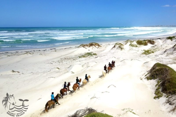 Swimming on horseback at Pearly Beach, South Africa