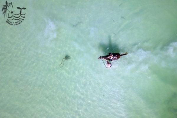 Swimming on horseback at Pearly Beach, South Africa