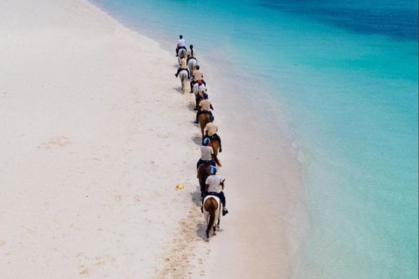 Zanzibar Horse Club (26) (1)
