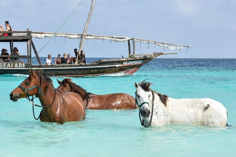 Horse riding in Zanzibar Island