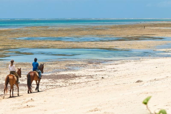 kinondo-kwetu-horse-riding-beach2-c-kk (1)