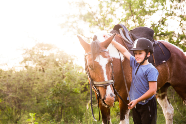 Join a family horse riding holiday on safari at Ants Nest in South Africa. Explore the wild beauty of Africa together.