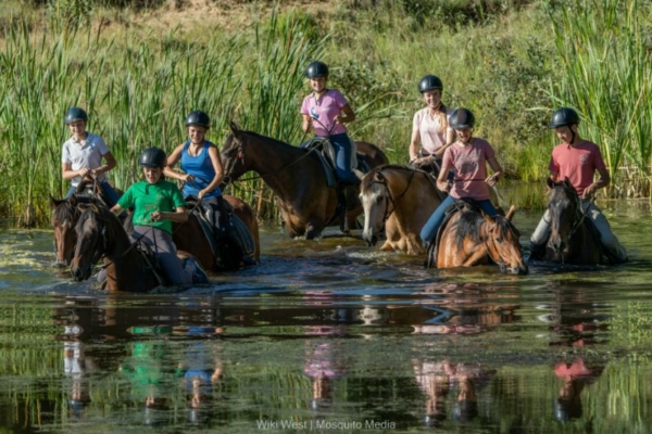 Discover equestrian paradise at Moolmanshoek. Ride majestic horses through stunning terrain in South Africa.