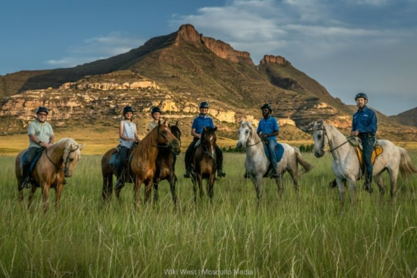 Explore equestrian delights at Moolmanshoek. Ride horses amid stunning vistas and embrace nature's beauty.