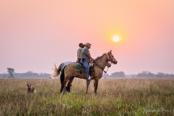 Explore a horse riding holiday at Simalaha and Chundukwa River Lodge in Zambia. Unforgettable adventures await with scenic trails.